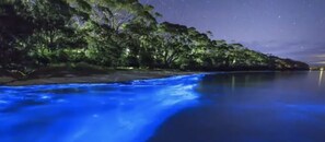 Pool - Huge Porch House in Rainforest 15 min from Beach (Sabana)