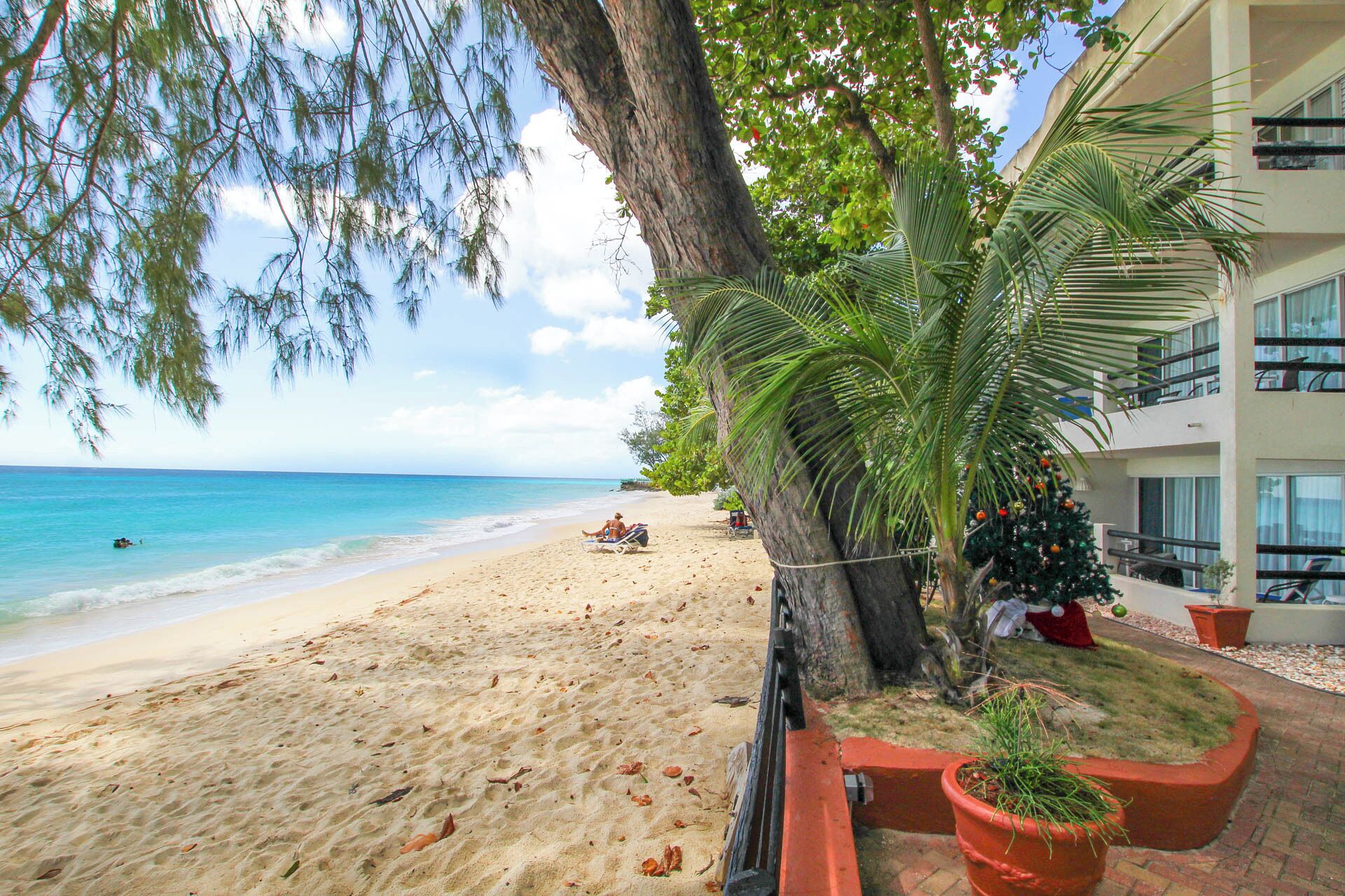 A beach with a palm tree, a Christmas tree, and a building with balconies.