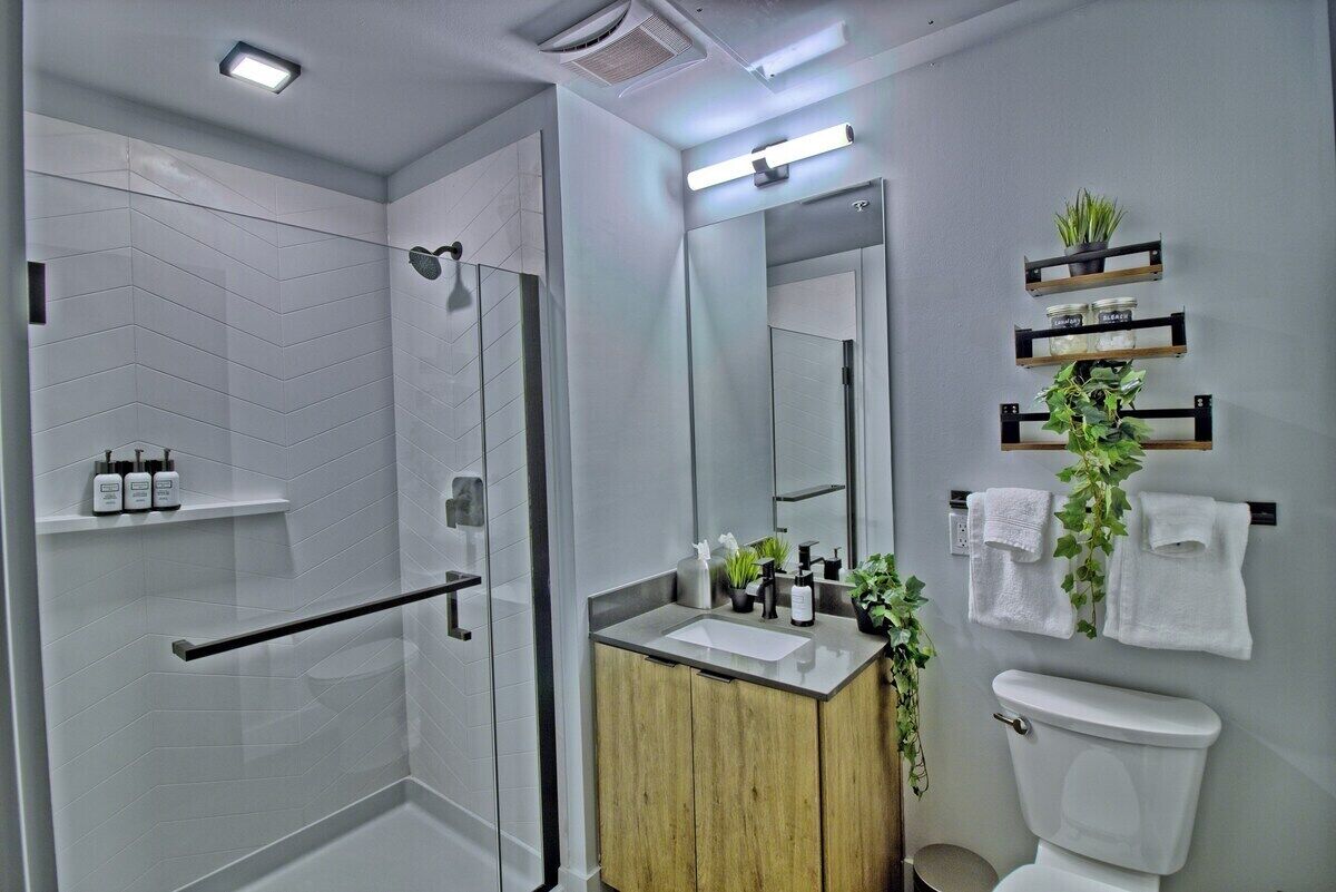 Shower, hair dryer, towels