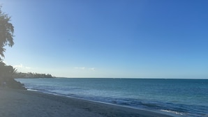 Een strand met heldere lucht, rustig water en een verre kustlijn met bomen.