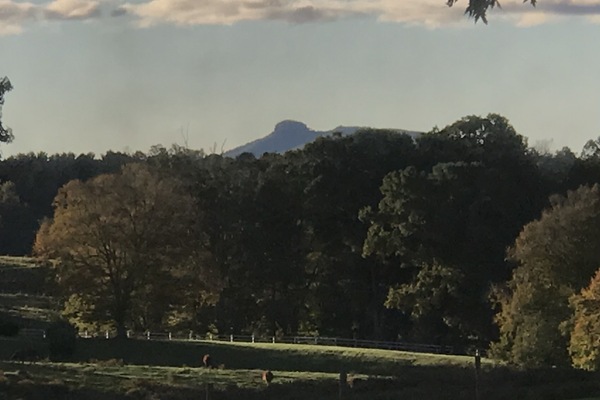 View of Pilot Mountain from the front windows and porch