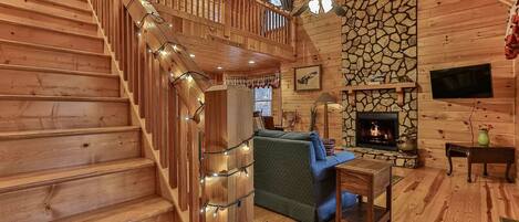 Smart TV, chimenea, libros