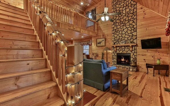 Smart TV, fireplace, books