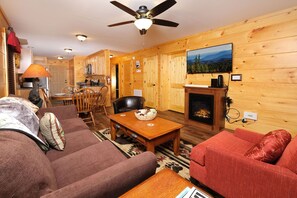 TV, fireplace, DVD player