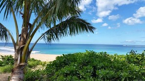 Beach nearby, beach towels