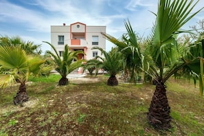 Un bâtiment moderne doté d’un toit plat, entouré de palmiers et d’une pelouse bien entretenue.
