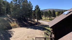 A view of a rural landscape with a dirt road leading to a wooden cabin with a sloped roof and a skylight.