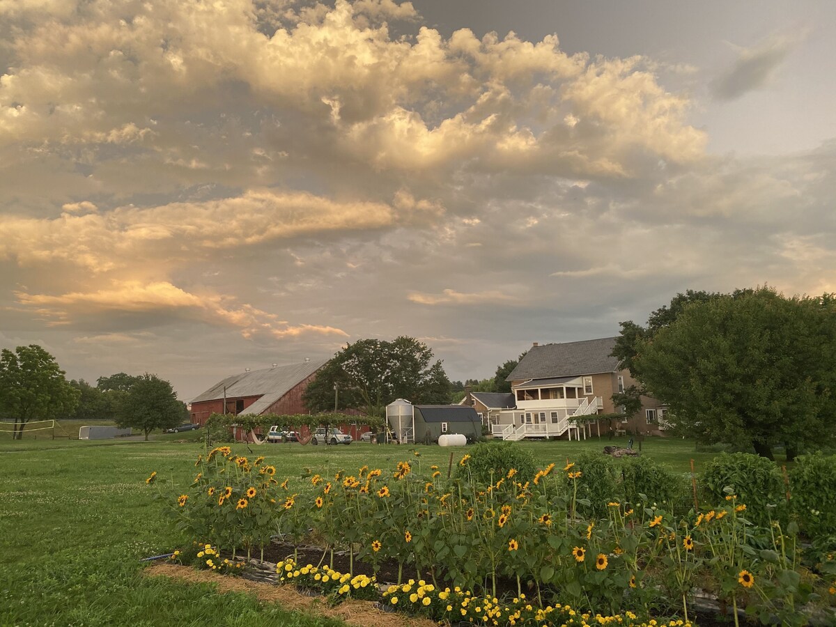 Bild für Gastgeberprofil