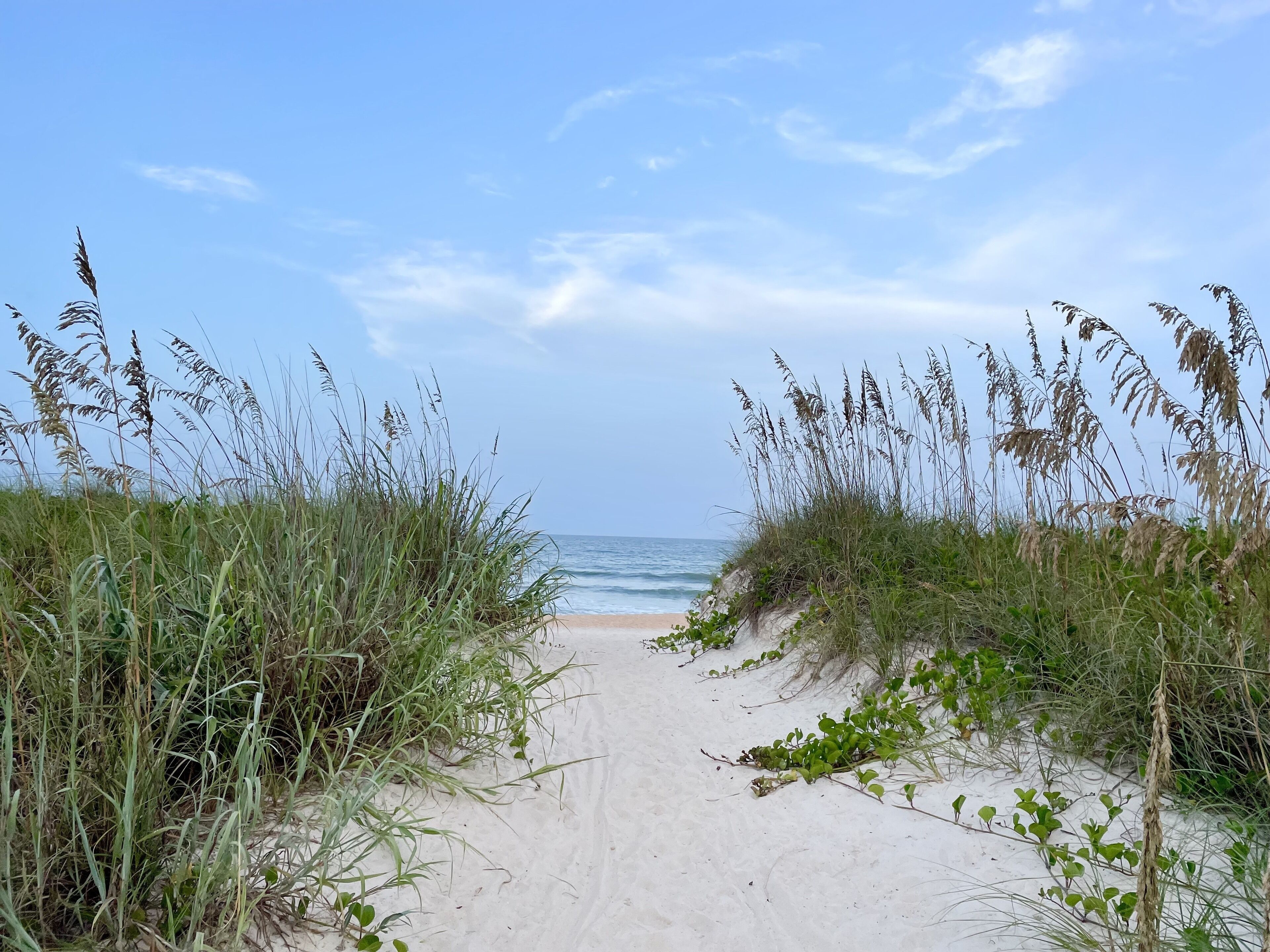 Beach nearby, sun loungers, beach towels