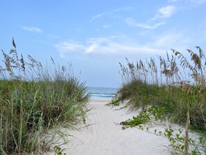 A sandy beach path leading to the ocean, surrounded by tall grasses and plants. - Stylish Family Retreat with Heated Pool, Bikes & More Near Parks & Beaches (Palm Coast)