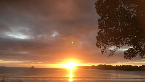 Un atardecer sobre un cuerpo de agua, con la silueta de un árbol a la derecha.