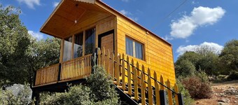 Live amid nature in the most beautiful Ajloun Hut