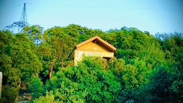 Ulkopuoli