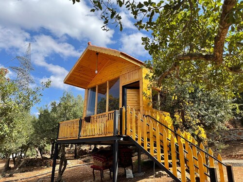Live amid nature in the most beautiful Ajloun Hut