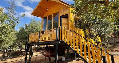 Live amid nature in the most beautiful Ajloun Hut