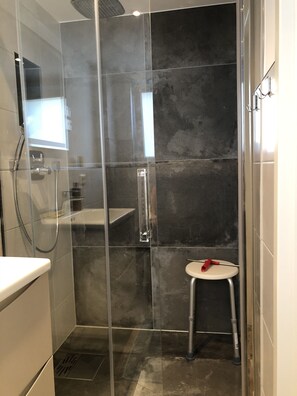 Dusche, Haartrockner, Seife, Toilettenpapier