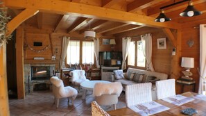 Televisión, chimenea y libros