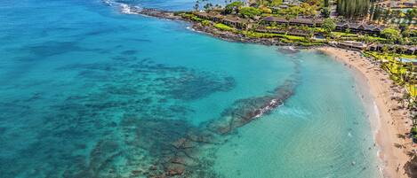Chaises longues, serviettes de plage