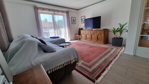 Un salon avec un canapé, un téléviseur posé sur un meuble en bois, un tapis rouge à motifs et une plante en pot.