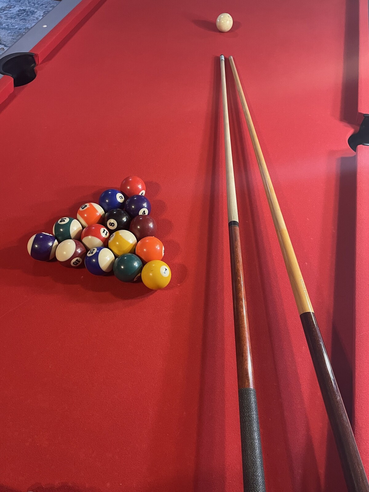 Foto de perfil del anfitrión