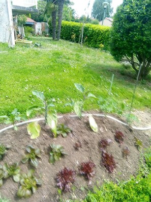 Property grounds - Detached fenced house with 600 m2 garden. (Garidech)