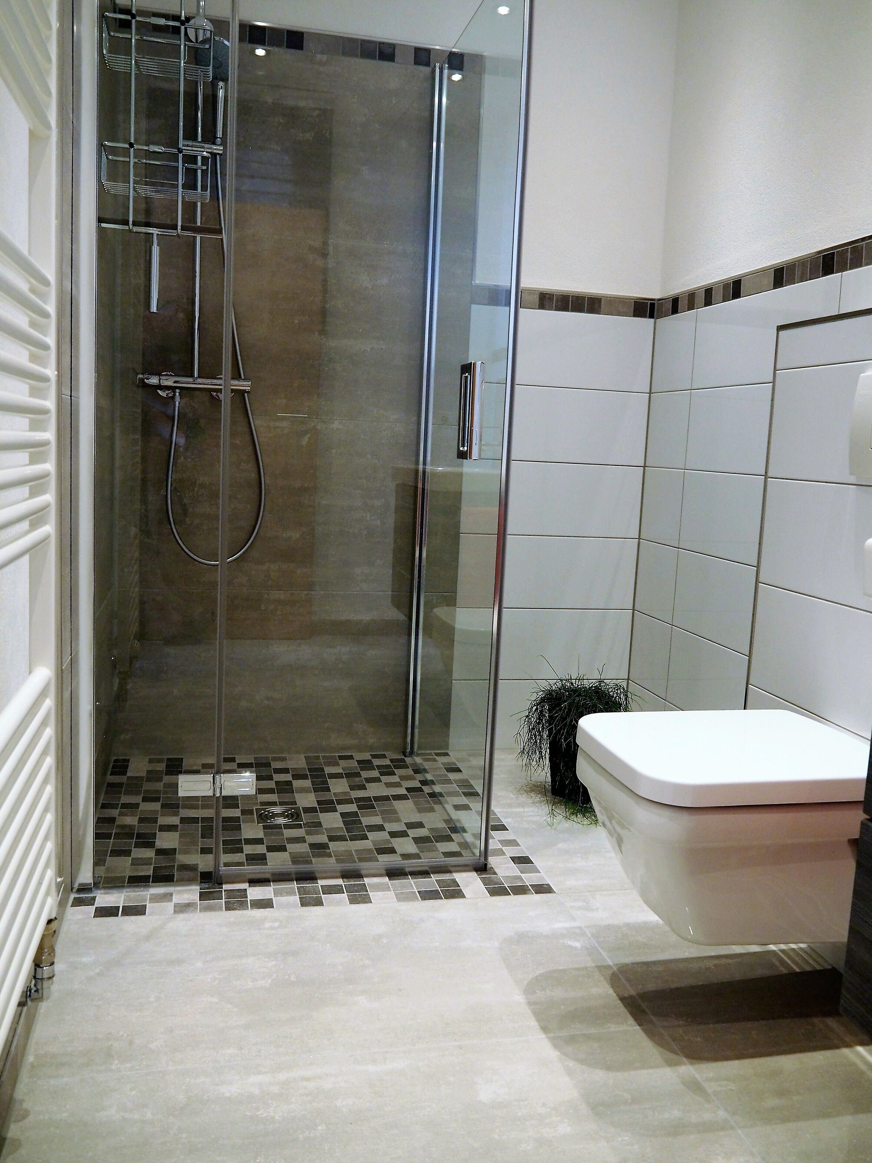Shower, hair dryer, bathrobes, towels