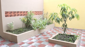 Un patio con suelo de baldosas, macetas con diversas plantas y una pared amarilla con un diseño de celosía decorativa.