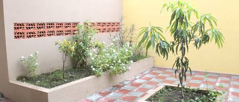 A courtyard with tiled flooring, planters with various plants, and a yellow wall with a decorative lattice pattern.