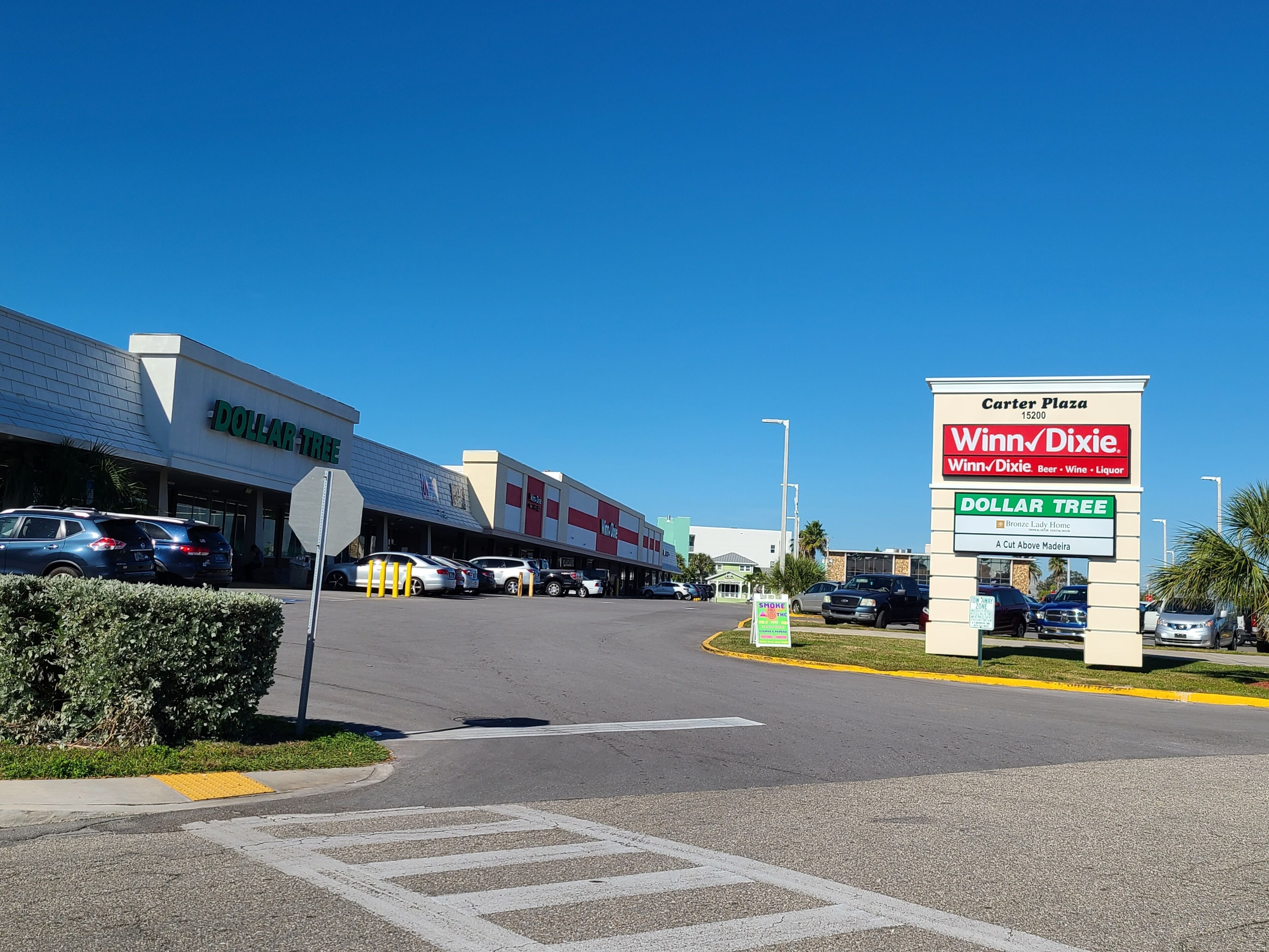 Zona comercial con una tienda Dollar Tree, Winn-Dixie y un letrero que indica Carter Plaza.