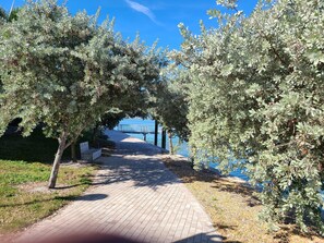 A paved pathway lined with trees and a bridge in the background.