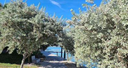 Madeira Beach Florida Vacation Rentals - ROYAL REXHOST RESORTS - Yacht Club