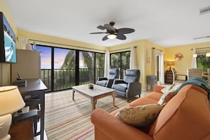 Smart TV, DVD player, books