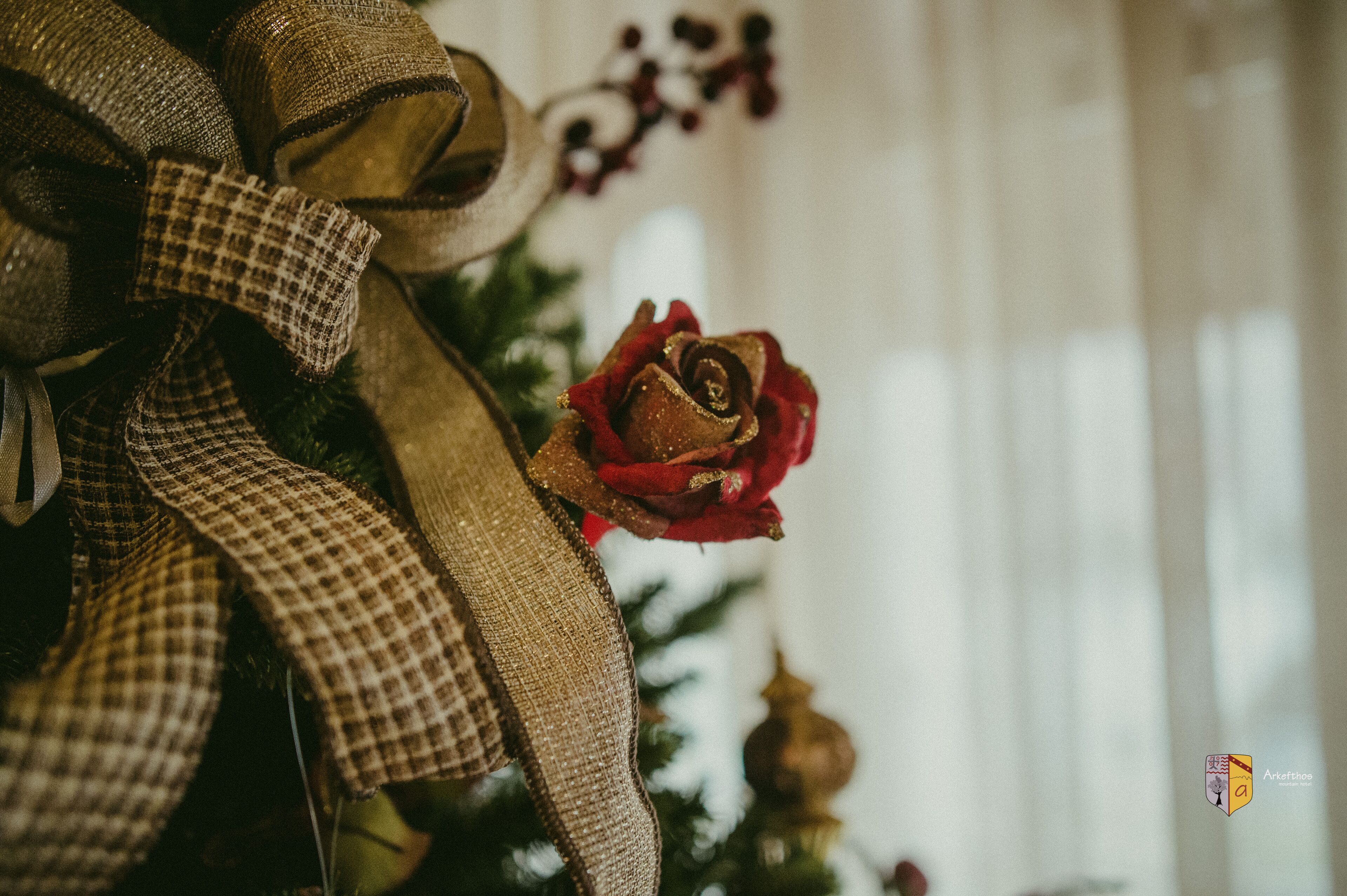 A close-up of a decorative ribbon and a red rose.