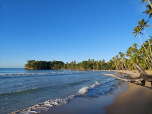Una playa con agua azul cristalina, palmeras y una orilla arenosa.