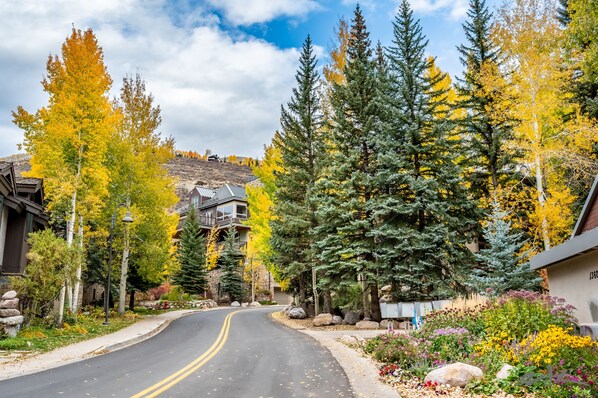 A residential street with houses, trees, and a clear sky.