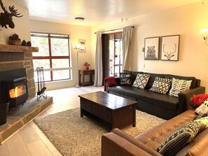 Smart TV, fireplace, books