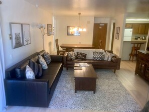 Smart TV, fireplace, books