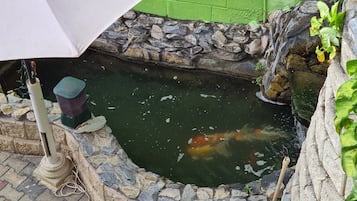 住宿地面