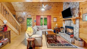 Smart TV, fireplace, DVD player, video library