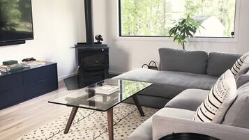 Smart TV, fireplace, books, stereo