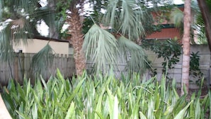 A garden with various plants and a wooden fence. - Historic Key West Style Home In South Coconut Grove  Blue House (Coconut Grove)