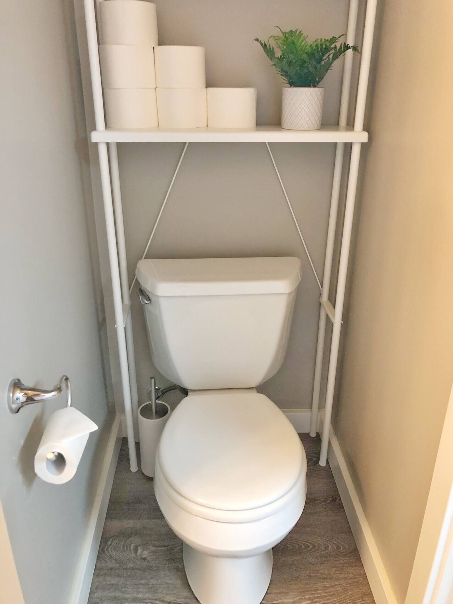 A compact bathroom with a white toilet, toilet paper, and a potted plant on a shelf.