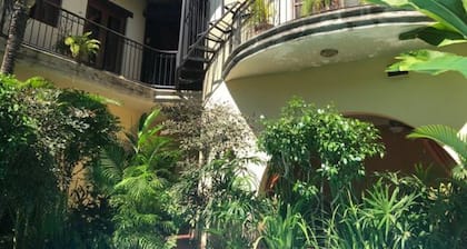 Beautiful Tropical Paradise Near City Center