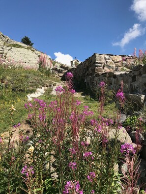 Enceinte de l’hébergement