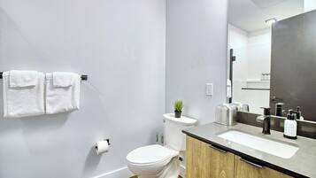 Regadera, secadora de cabello, toallas