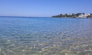 在海灘附近