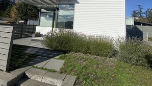 Uklassifisert bilde, 4 av 29, knapp
