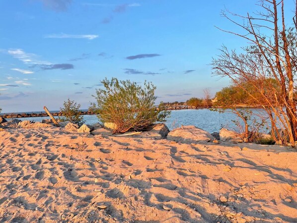 Una playa arenosa con vegetación escasa y una masa de agua tranquila al fondo.
