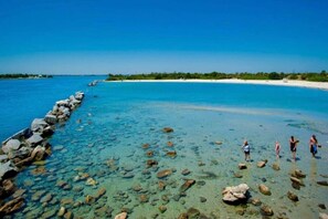 Beach nearby - Pickleball Paradise | Pool & Hot Tub Fun (Melbourne)