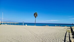 A beach with a palm tree, a clear blue sky, and a calm sea. - luxury apartments sea views with pool (malaga)